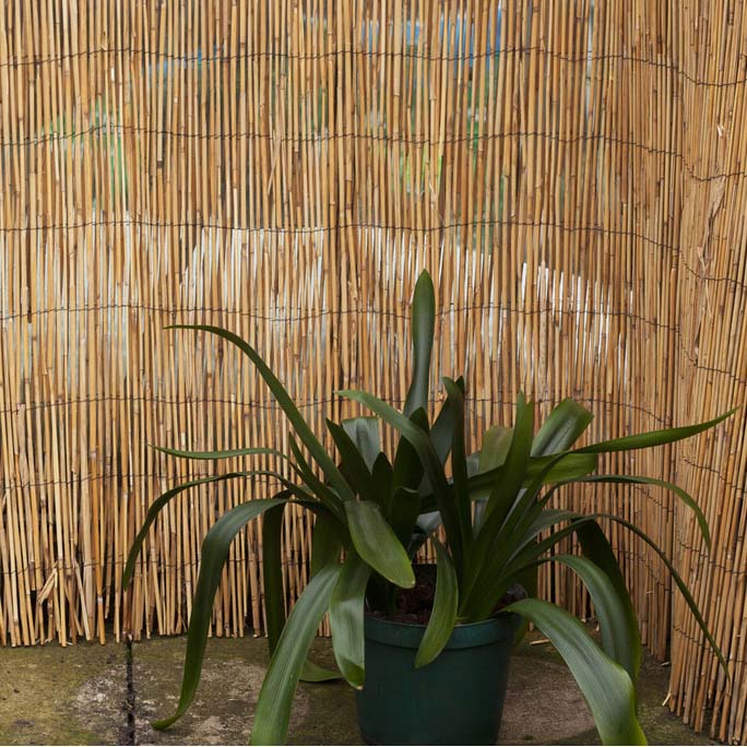 Screens & Borders