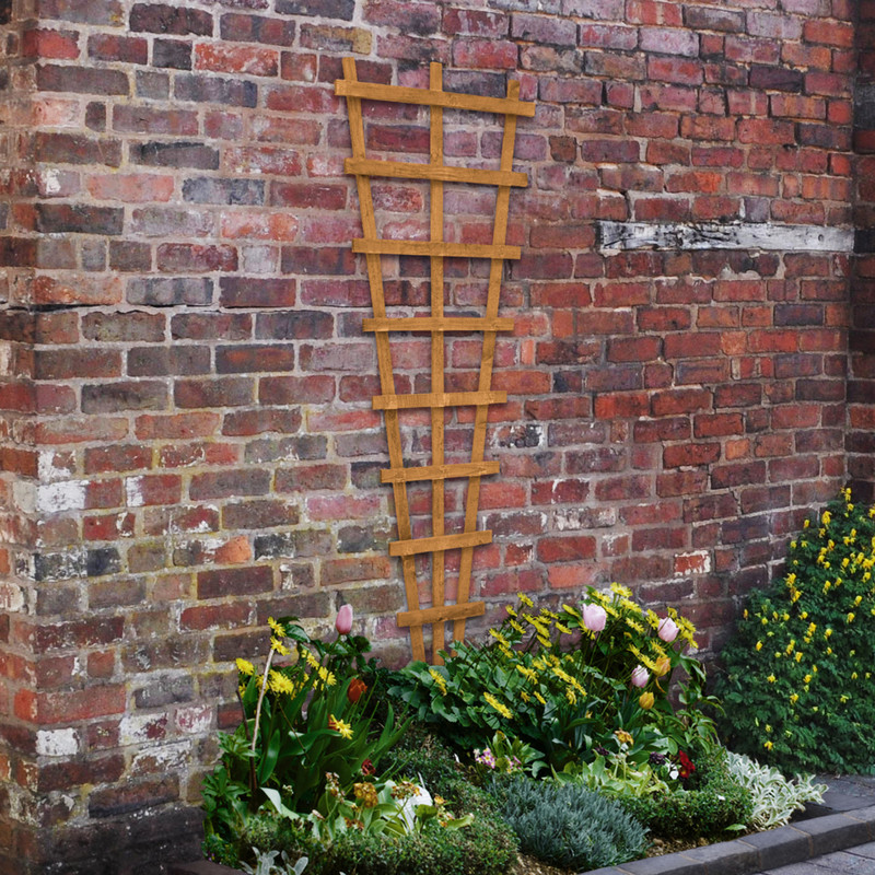 Lattice & Trellis
